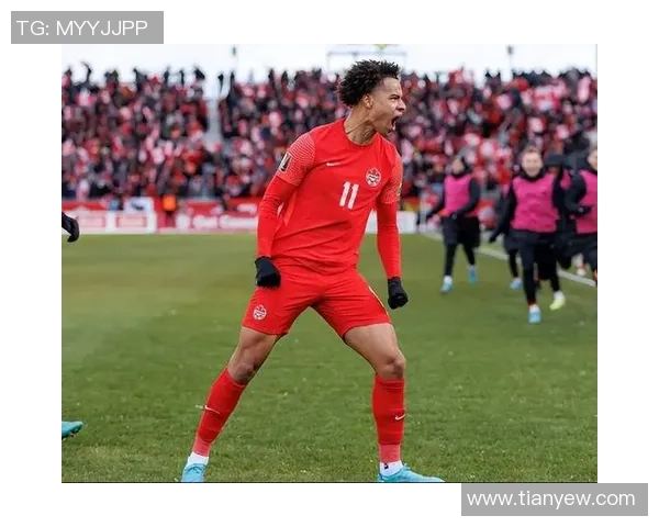 加拿大足球明星崛起之路与国际赛场表现分析