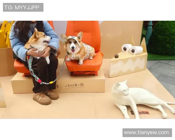 足球巨星们的宠物们究竟是谁揭秘他们生活中的小伙伴和忠实陪伴